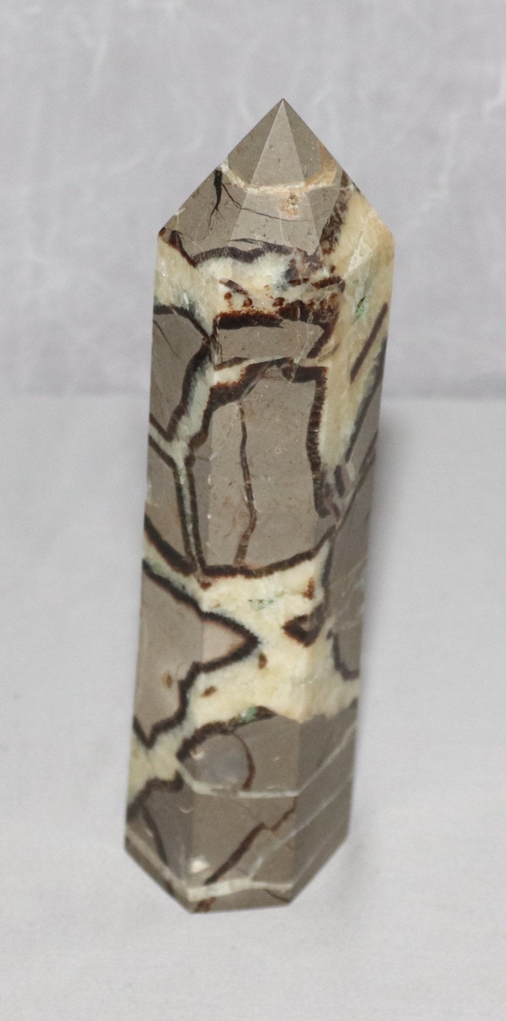 Septarian jasper (5-10")