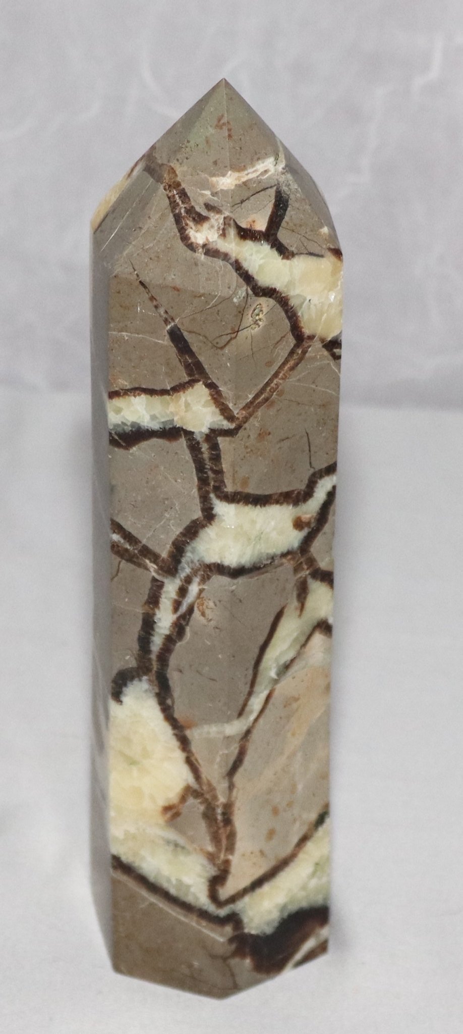 Septarian jasper (5-10")